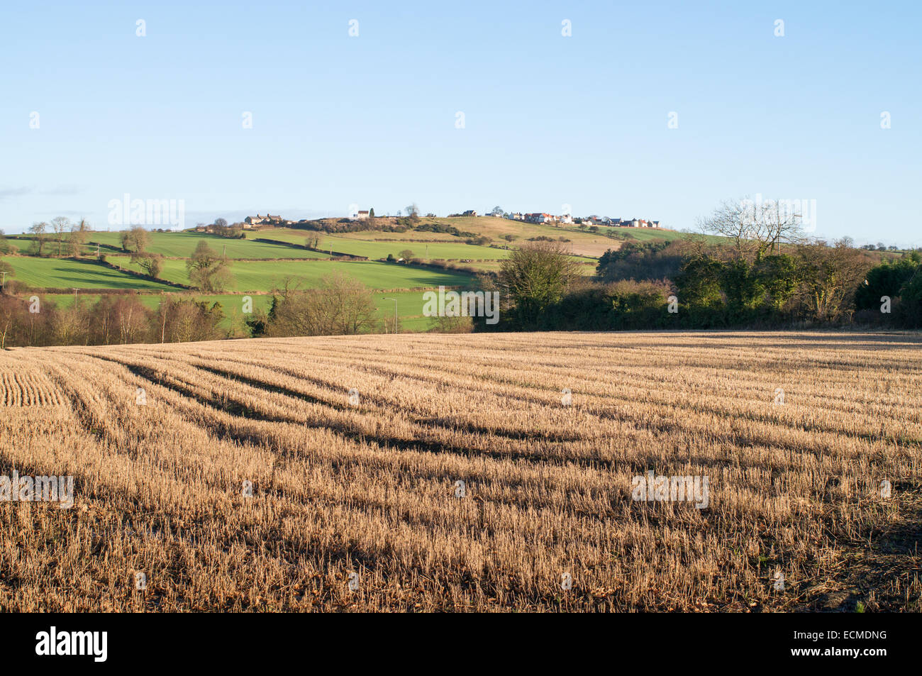 Rolling Durham countryside seen from the Bishop Auckland to Spennymoor ex railway cycle path, north east England, UK Stock Photo