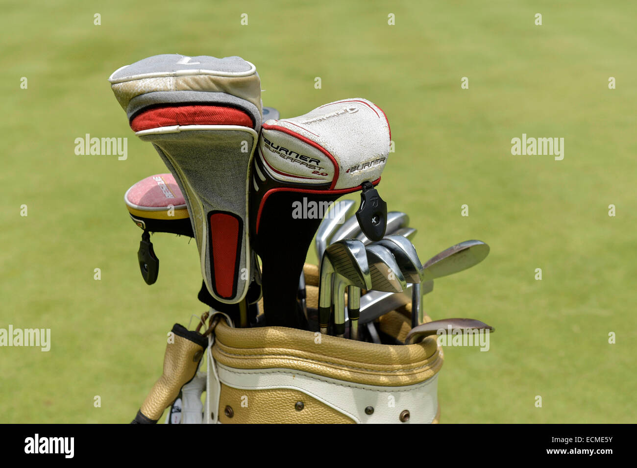Detail view, golf bag with clubs on the green, Hua Hin, Thailand Stock Photo