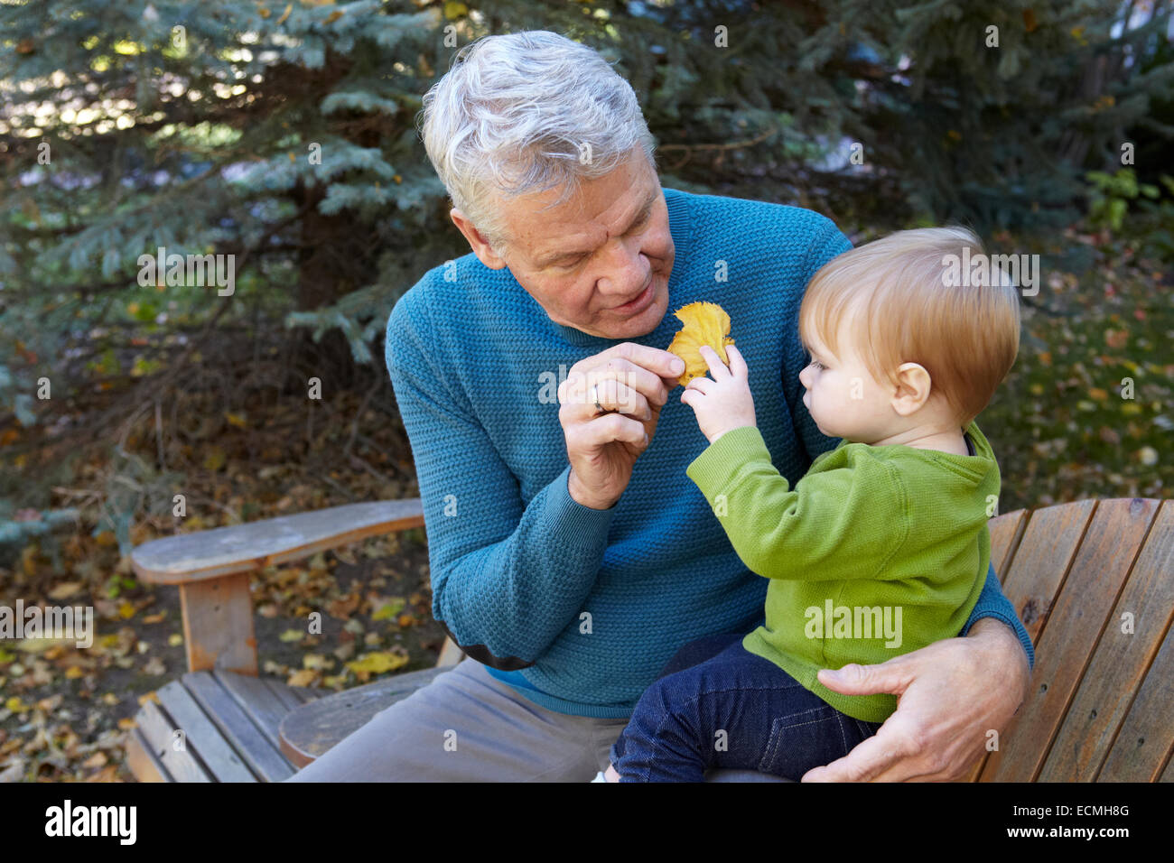 Grandfather showing his grandson an autumn leaf Stock Photo