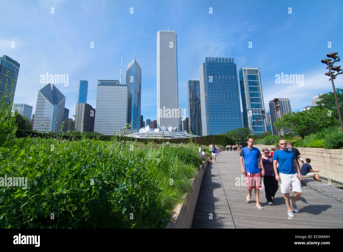 Chicago Illinois Millennium Park in Lurie Gardens with skyline in ...