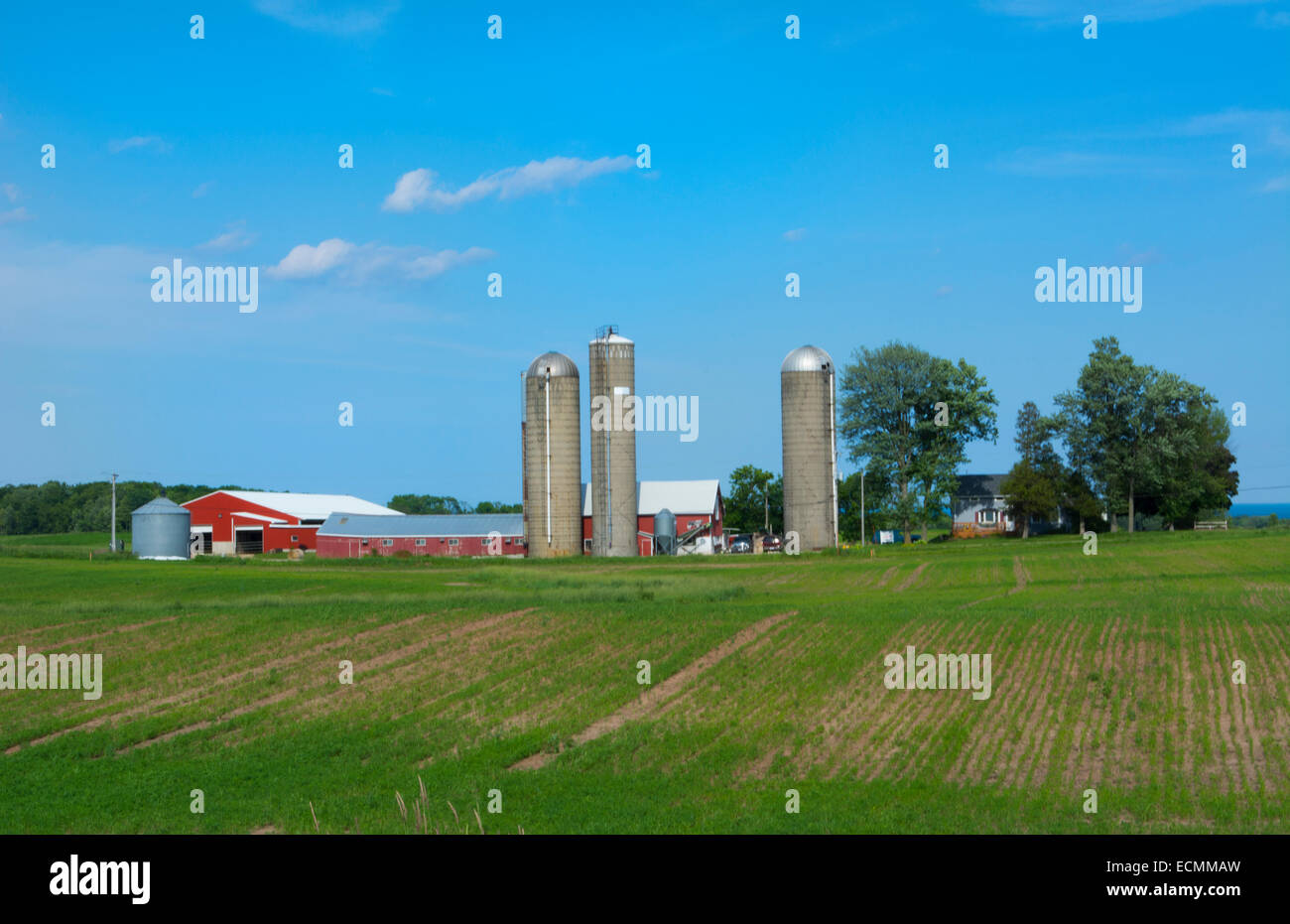 Sheboygan Wisconsin farm near Green Bay with red barn and silos for grain and home farming in