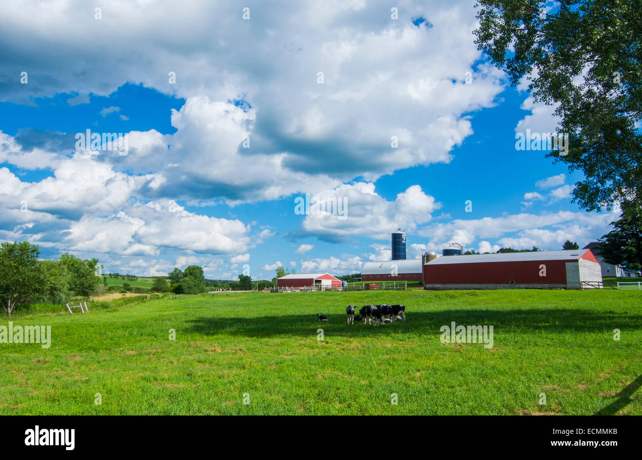 Eau Claire Wisconsin farm and red barn in picturesque scene of farming