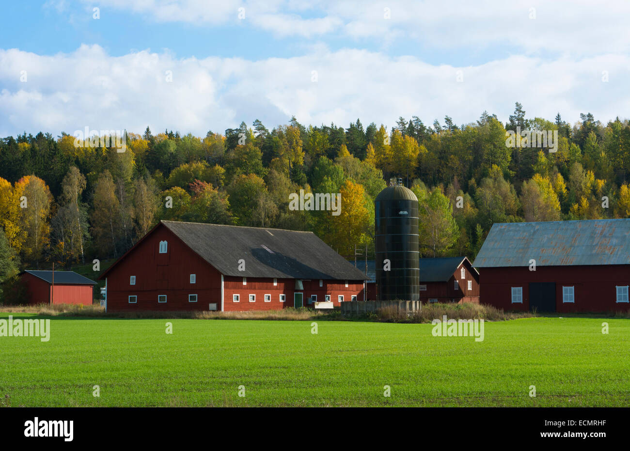 Tumba Sweden rural farming dairy with barn and home in green fields in ...