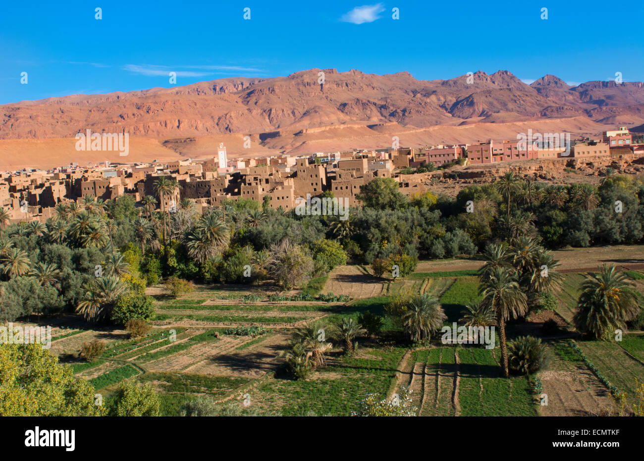 Morocco Atlas Mountains Tinghir Oasis and village with beautiful