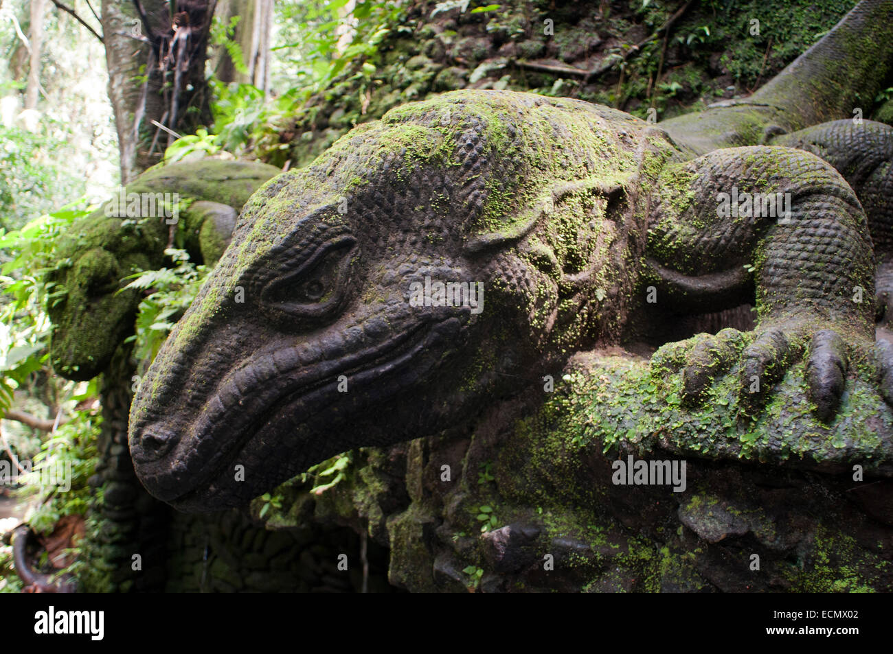 Ancient Reptiles Bizarre Crest You Wont Believe Your Eyes - f20v2yz