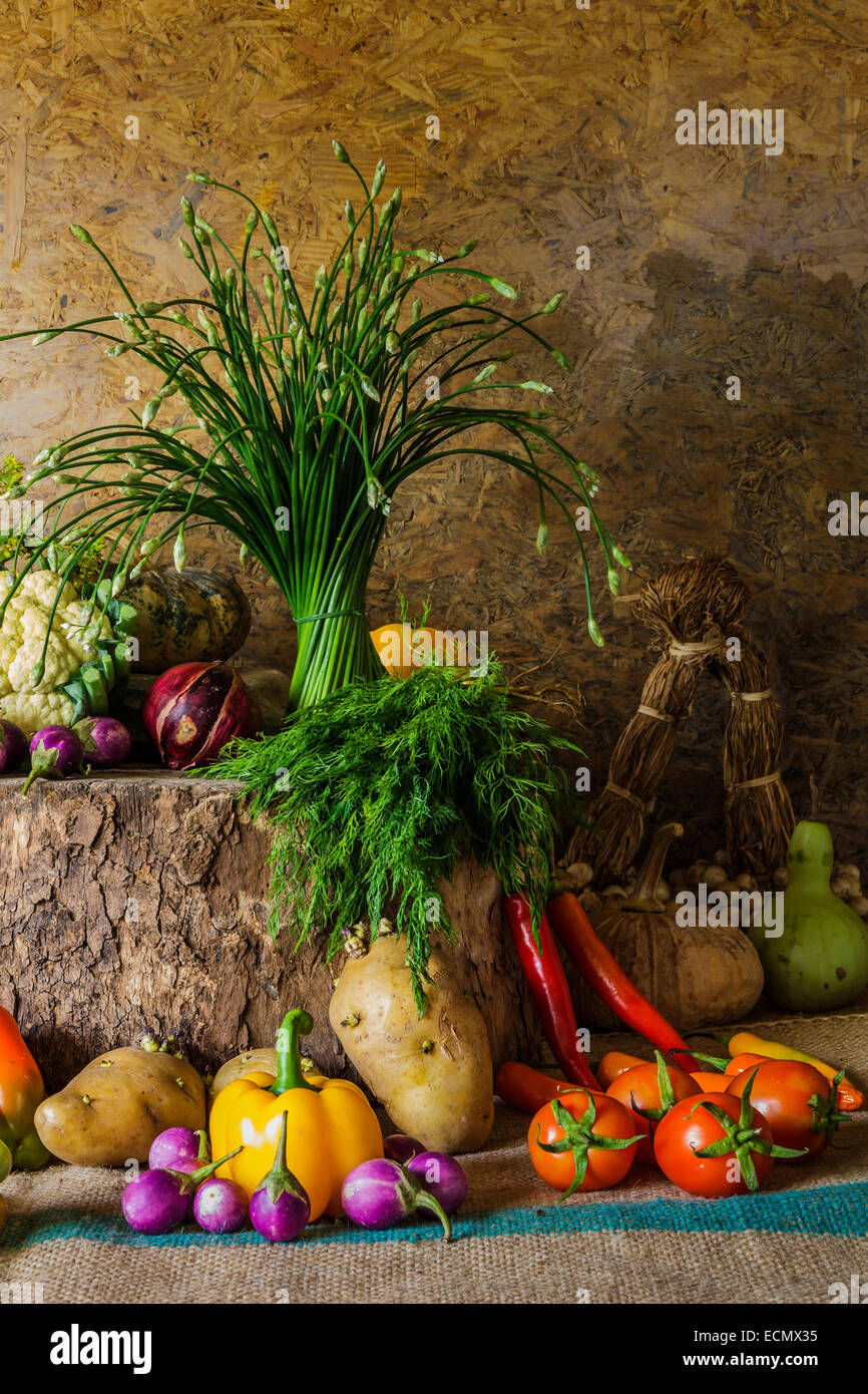 still life Vegetables, Herbs and Fruit as ingredients in cooking Stock ...