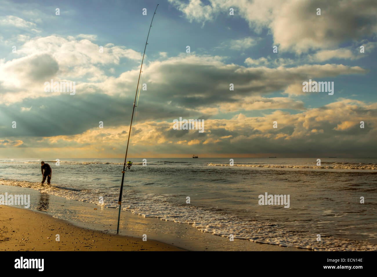 Katwijk aan Zee, South Holland, The Netherlands: An angler standing in the North Sea, while fishing. Stock Photo