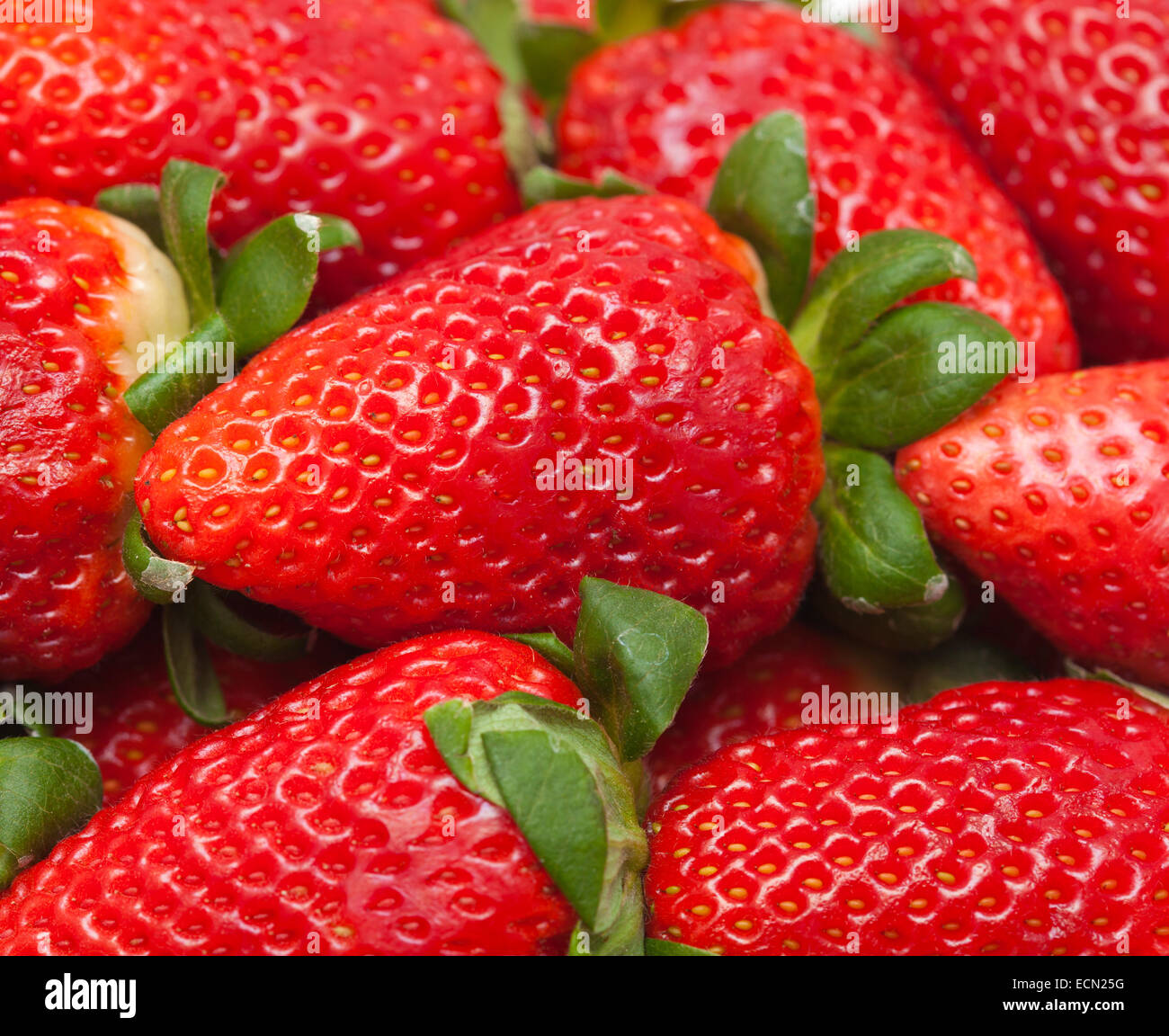 red ripe strawberries natural food background Stock Photo - Alamy