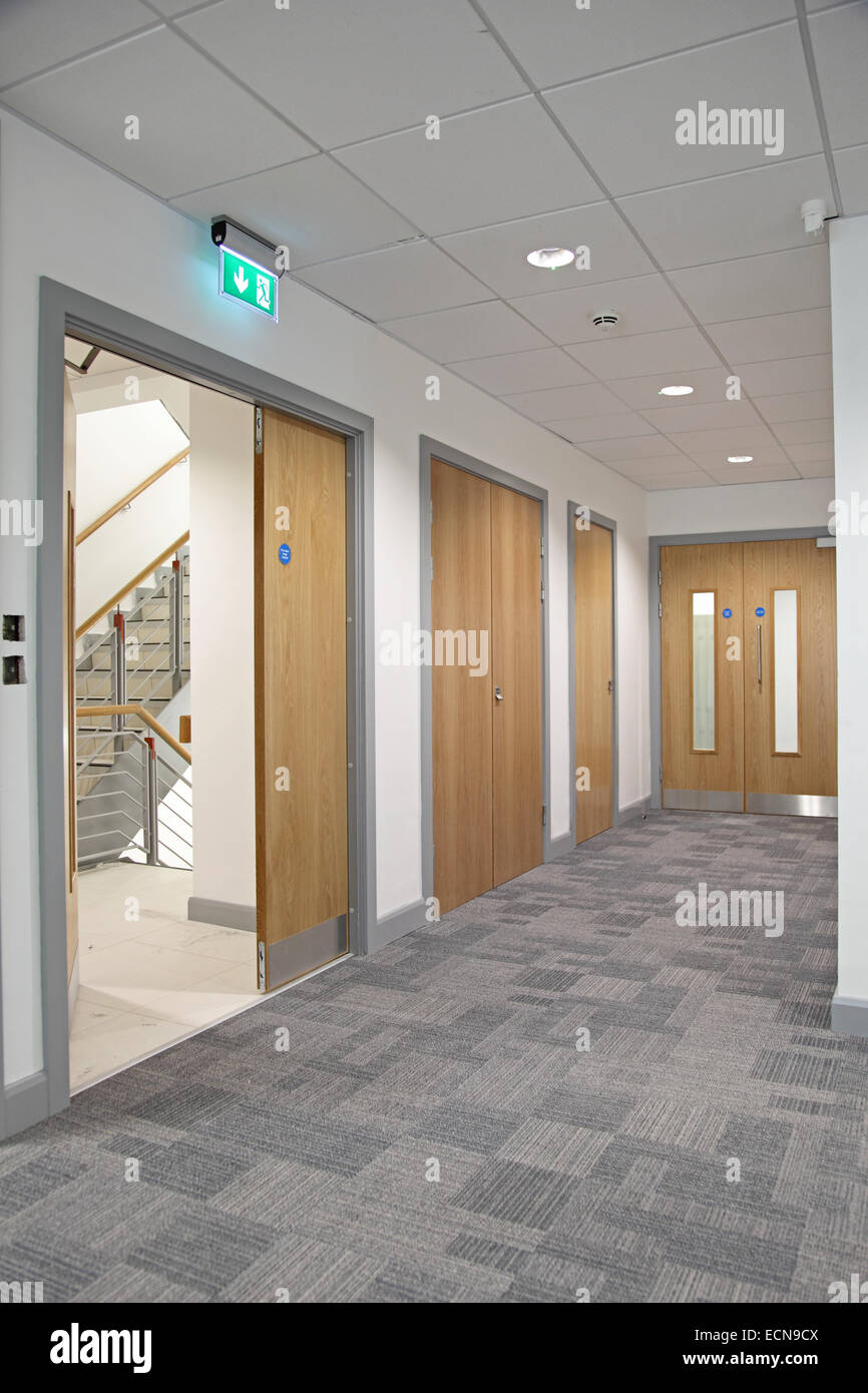 A modern office corridor showing oak-finish double fire doors leading to the stairs. Stock Photo