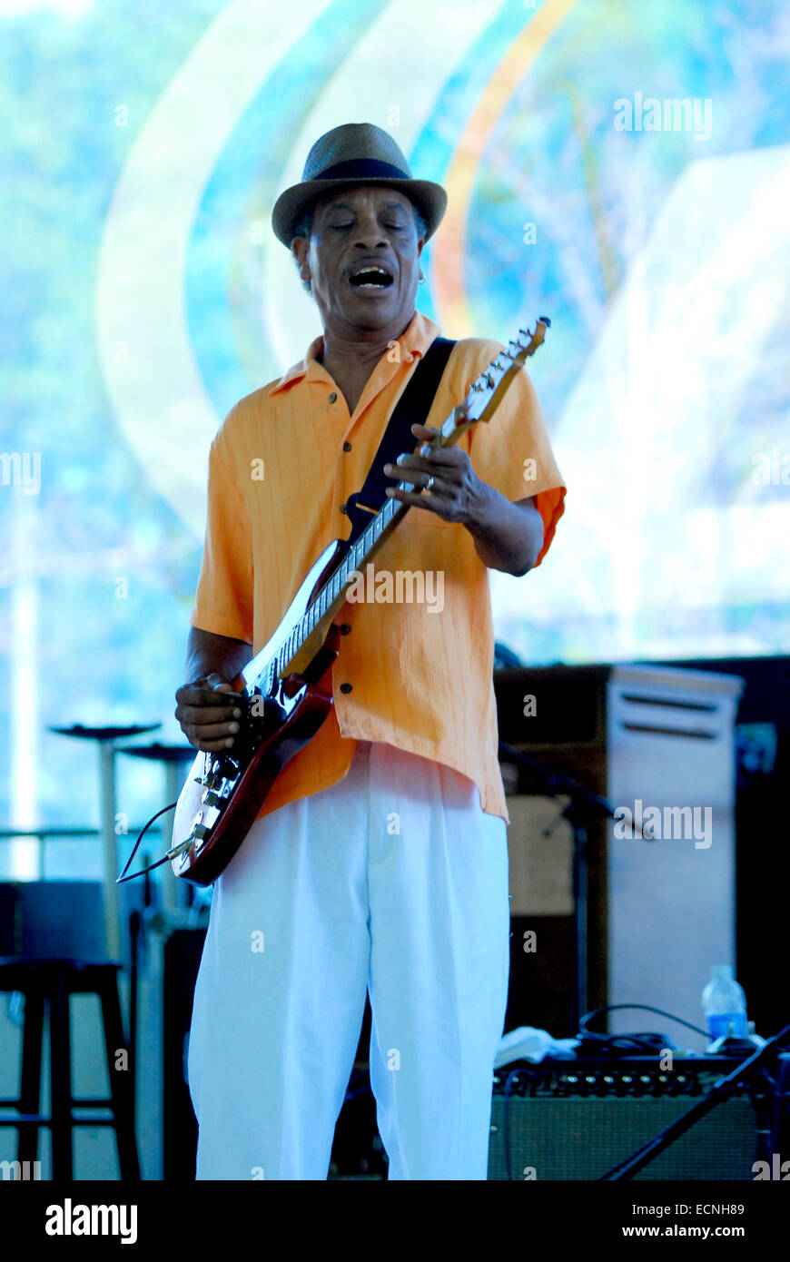 Chicago Blues Festival 2014 held in Grant Park in Downtown Chicago ...