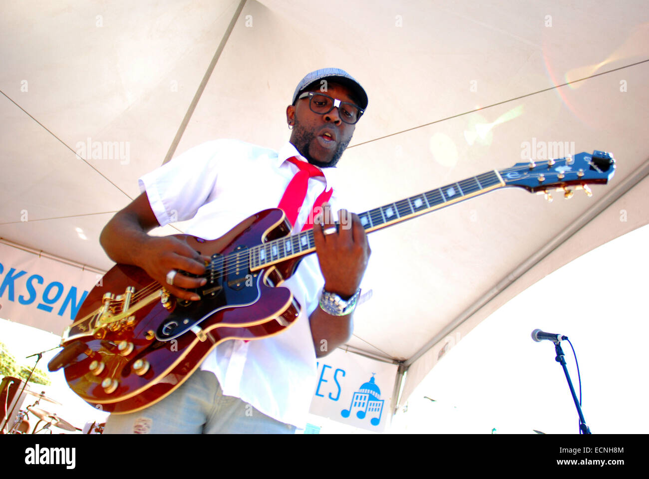 Chicago Blues Festival 2014 held in Grant Park in Downtown Chicago ...