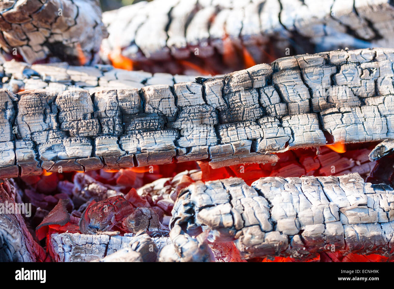 Closeup of hot burning firewood in campfire Stock Photo Alamy