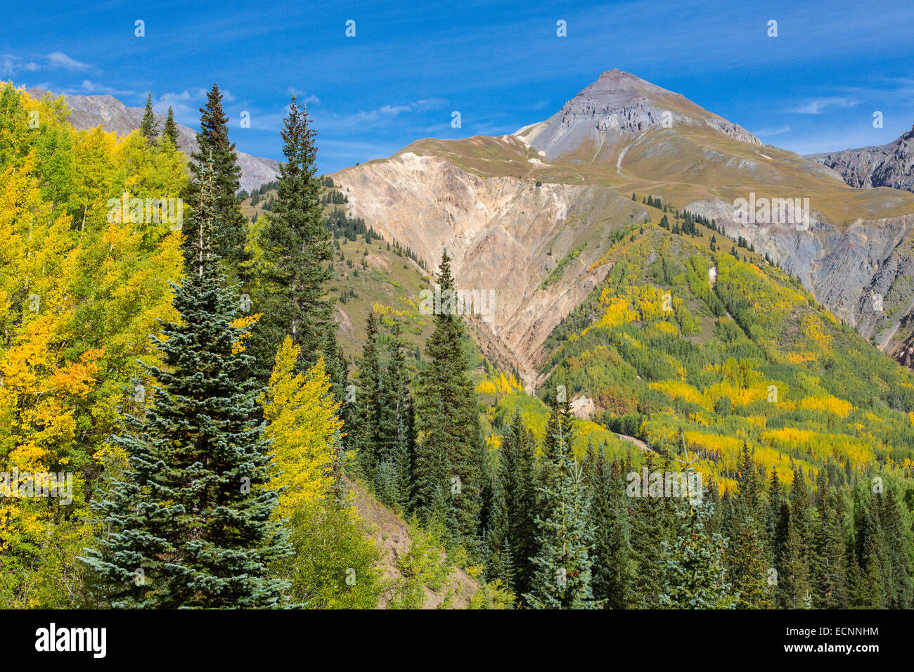 Fall in the Rocky Mountains along Route 550, The Million Dollar Highway in the Ouray, Silverton area of Colorado Stock Photo