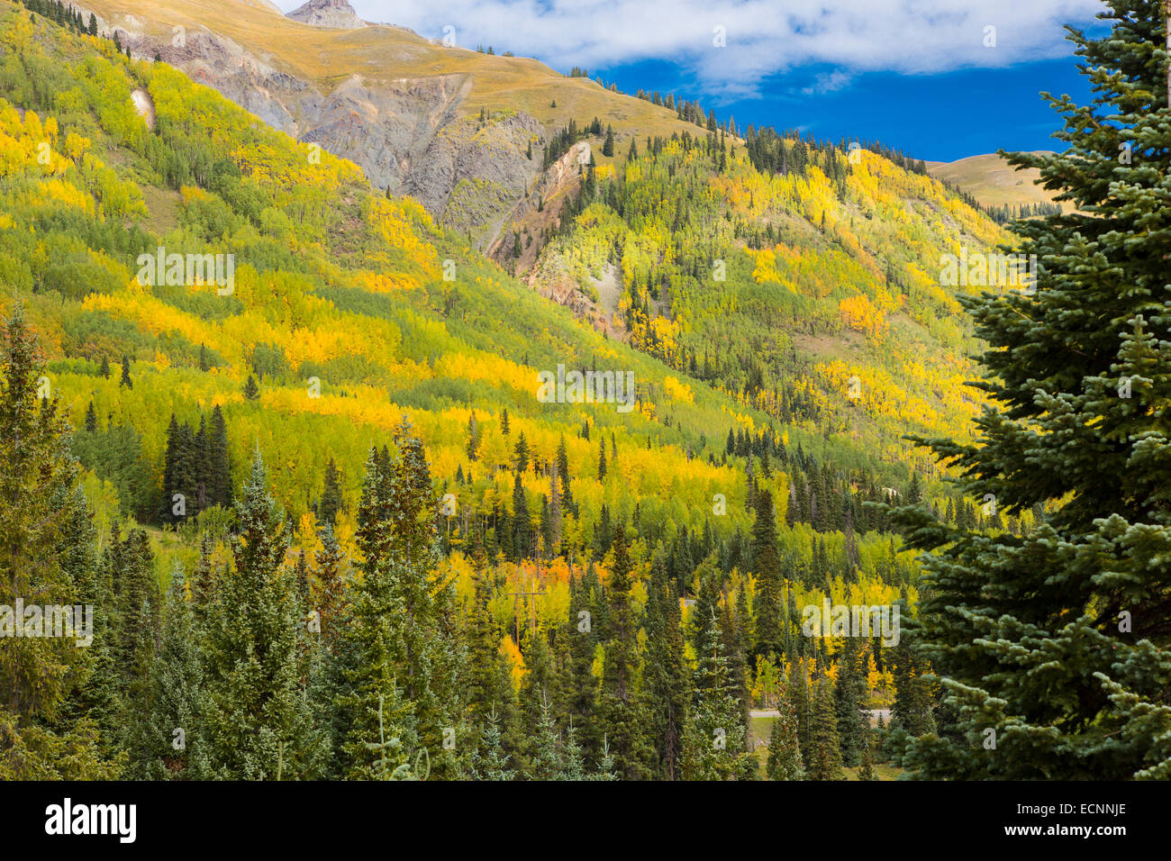 Fall in the Rocky Mountains along Route 550, The Million Dollar Highway in the Ouray, Silverton area of Colorado Stock Photo