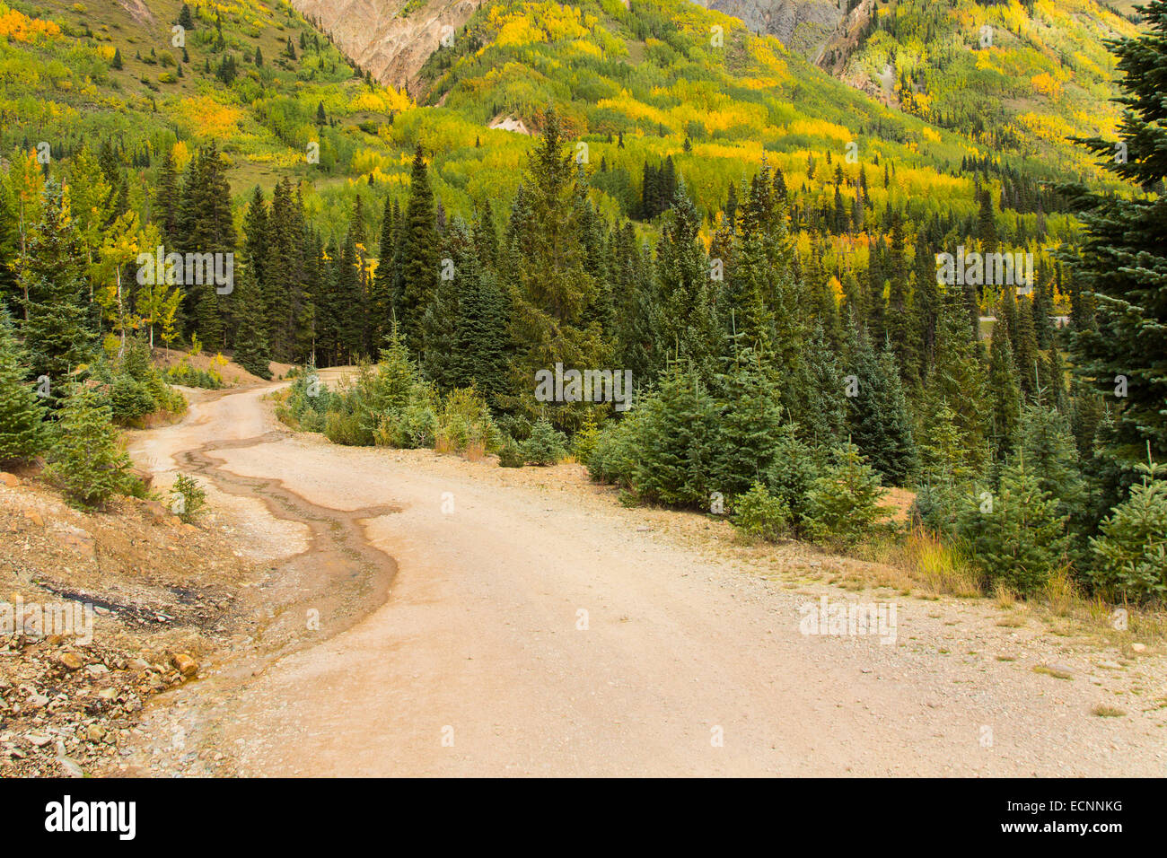 Fall in the Rocky Mountains off Route 550, The Million Dollar Highway in the Ouray, Silverton area of Colorado Stock Photo