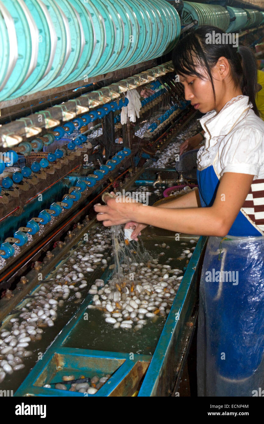 Commercial silk factory in Lam Dong Province, Vietnam. Stock Photo
