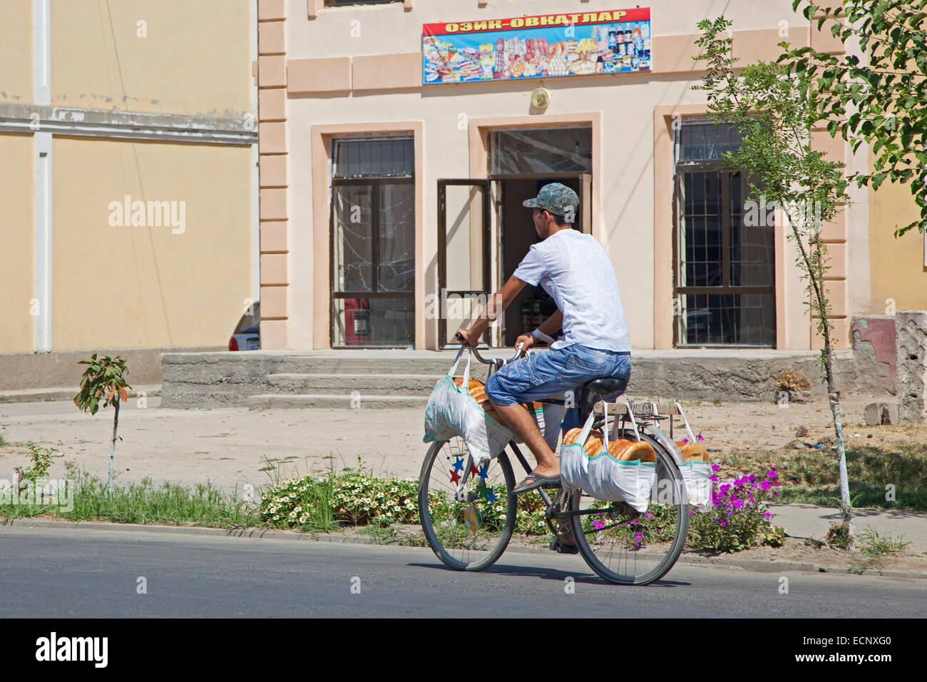 Uzbek man riding bicycle delivers traditional tandoor bread from bakery to houses in small town near Samarkand, Uzbekistan Stock Photo