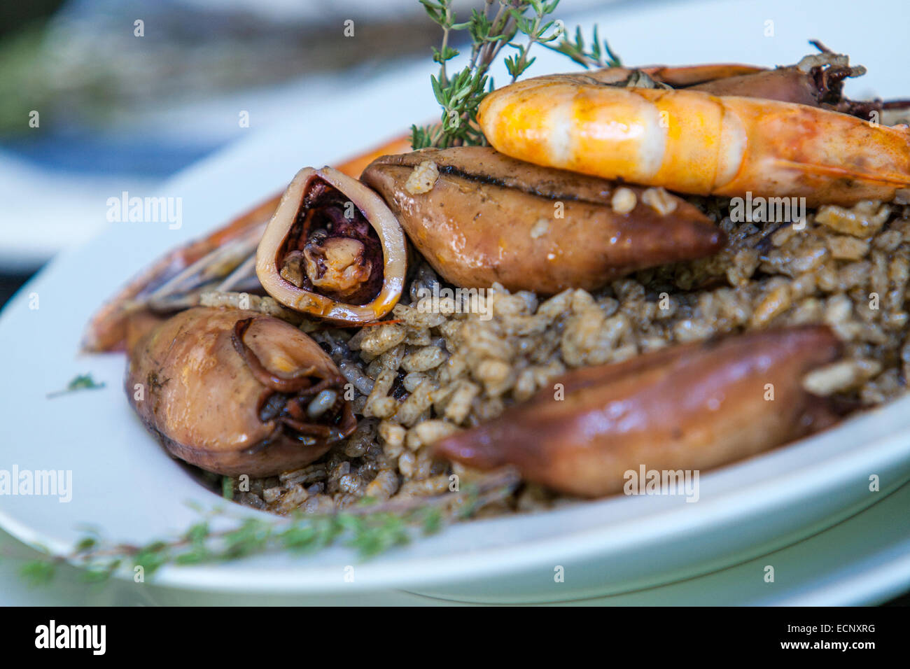 italian risotto with squid and prawn on black ink short dof Stock Photo
