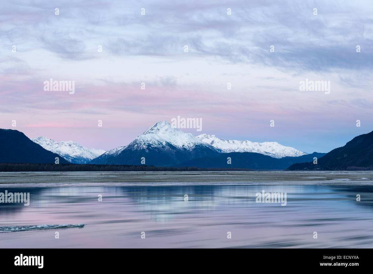 Alpenglow at sunrise along the Chilkat River with the Chilkat Mountains in the Chilkat Bald Eagle Preserve in Haines, Alaska. Stock Photo