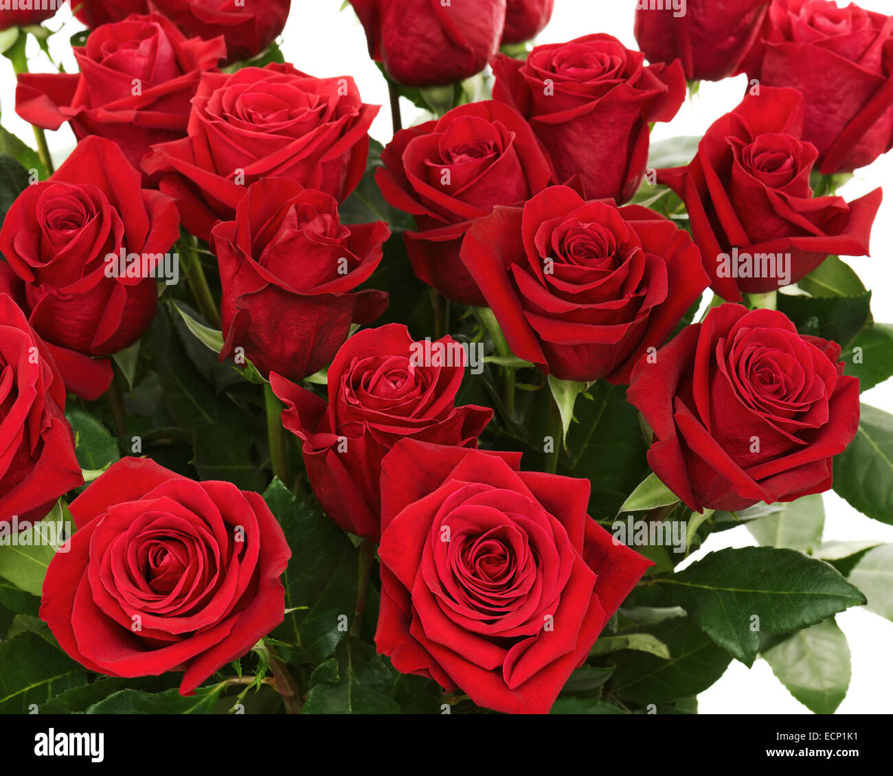 Colorful Flower Bouquet from Red Roses Isolated on White Background ...