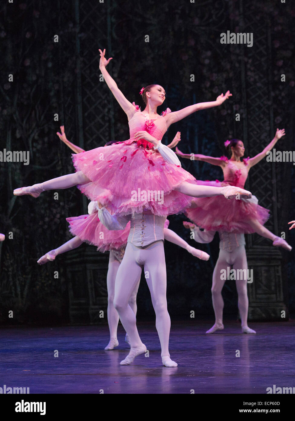 Waltz of the Flowers with dancers of the English National Ballet and Students from the English National Ballet School. Dress rehearsal for the ballet 'The Nutcracker' at the London Coliseum. Set to music by Pyotr Ilyich Tchaikovsky, the traditional Christmas ballet is choreographed by Wayne Eagling based on a concept by Toer von Schayk and Wayne Eagling. The English National Ballet Philharmonic orchestra accompanies dancers from the English National Ballet and Students from the English National Ballet School. Children performers are from the Tring Park School for the Performing Arts. Stock Photo