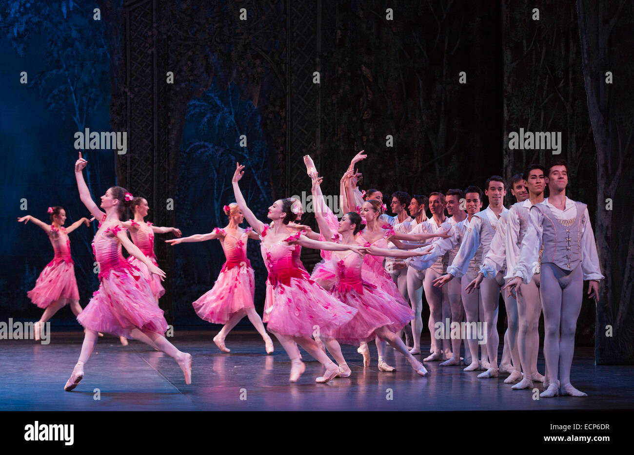 Waltz of the Flowers with dancers of the English National Ballet and Students from the English National Ballet School. Dress rehearsal for the ballet 'The Nutcracker' at the London Coliseum. Set to music by Pyotr Ilyich Tchaikovsky, the traditional Christmas ballet is choreographed by Wayne Eagling based on a concept by Toer von Schayk and Wayne Eagling. The English National Ballet Philharmonic orchestra accompanies dancers from the English National Ballet and Students from the English National Ballet School. Children performers are from the Tring Park School for the Performing Arts. Stock Photo