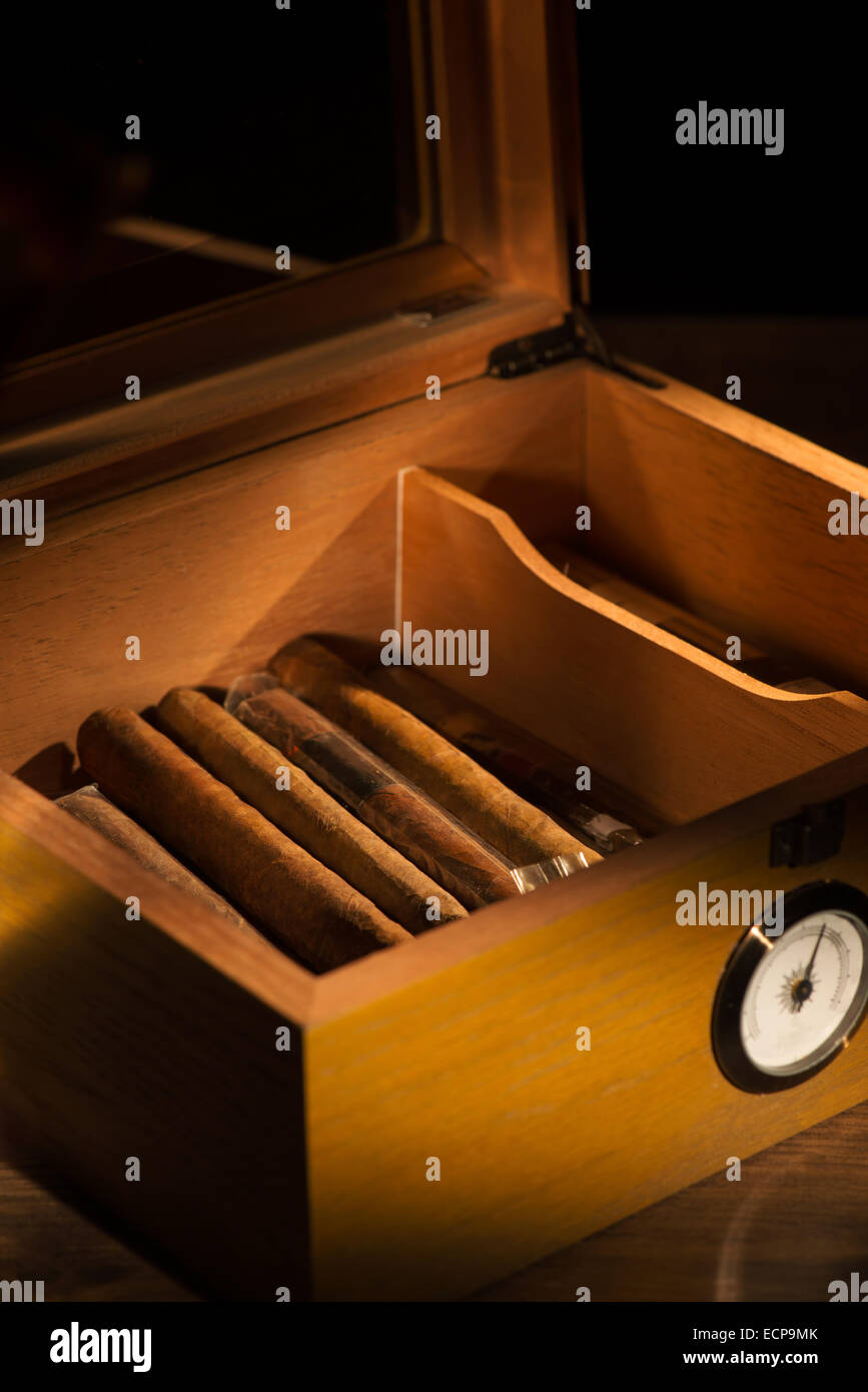 Selective focus on the great vintage humidor with Cuban cigars Stock Photo