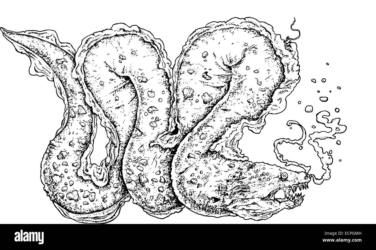 Moray eel black white illustration hires stock photography and images