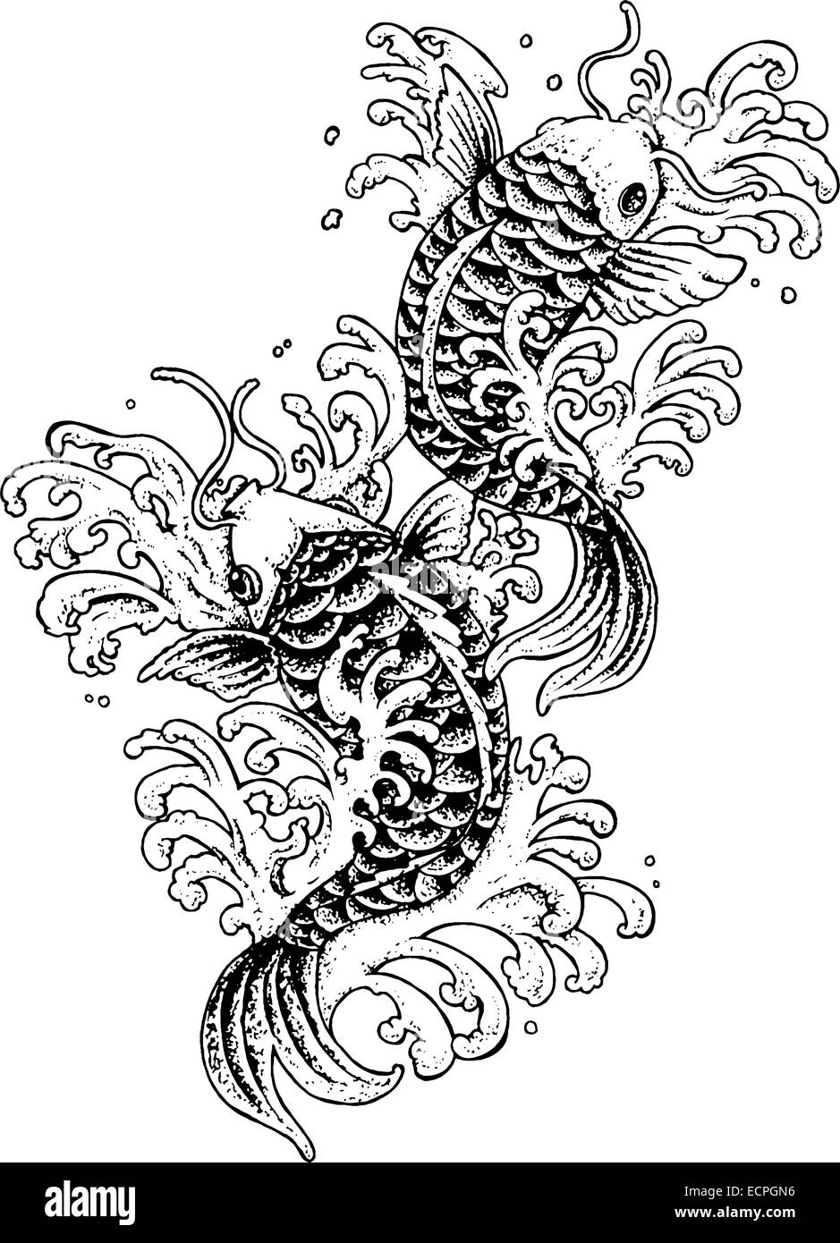 traditional koi fish tattoo black and white illustration Stock Vector