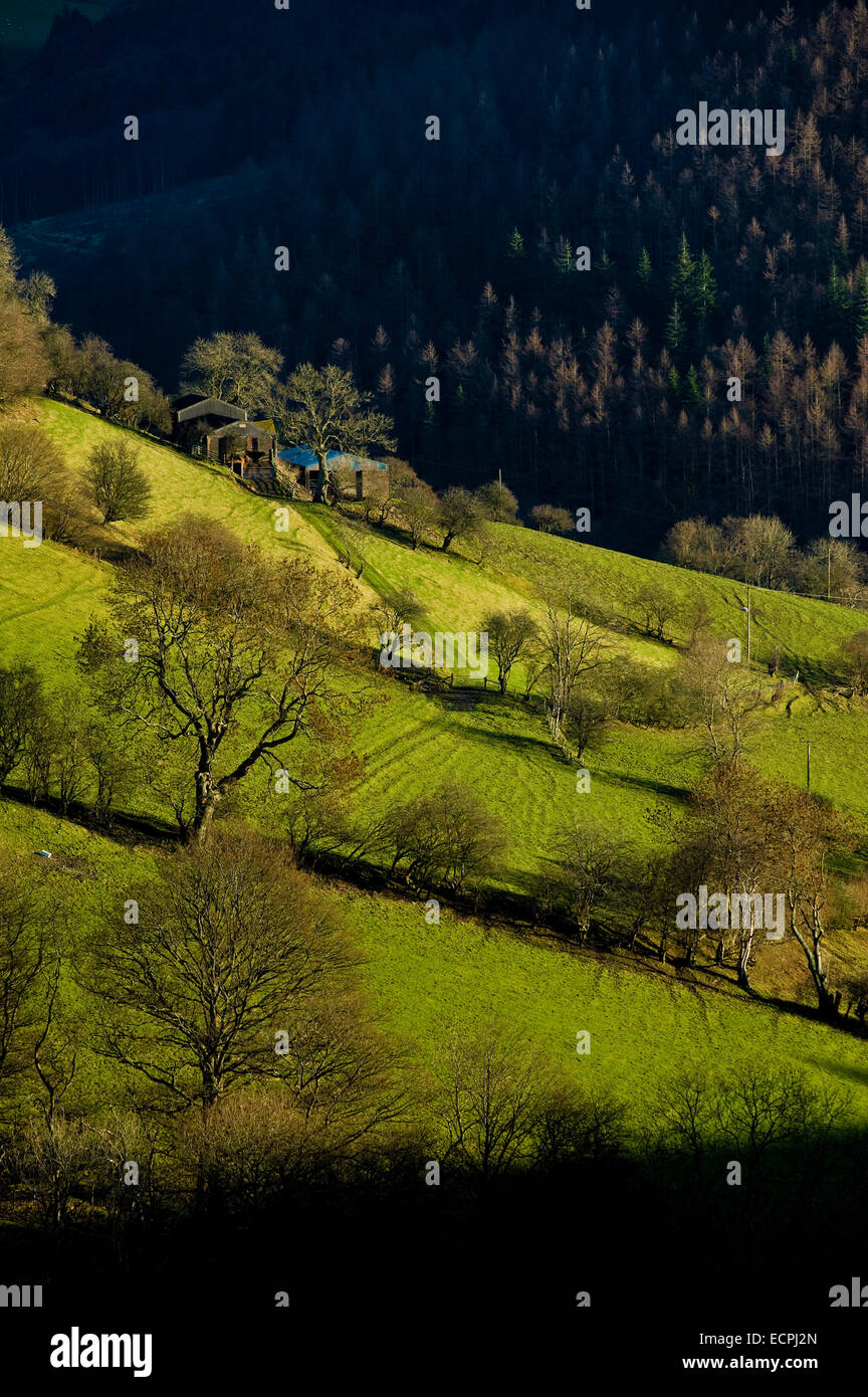 Farms and fields on the Horseshoe pass near Llangollen, Wales Stock