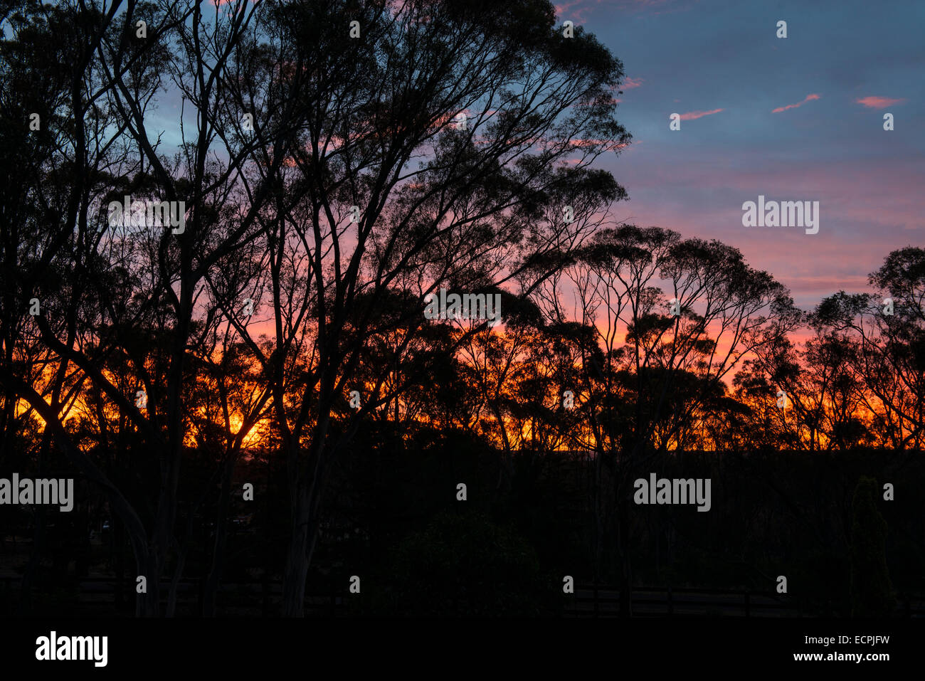 Australian bush sunset Stock Photo