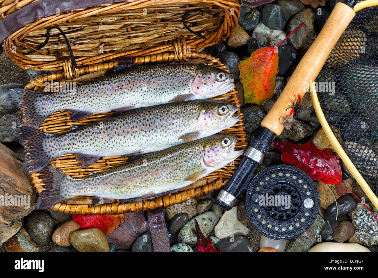 Fishing creel hires stock photography and images Alamy