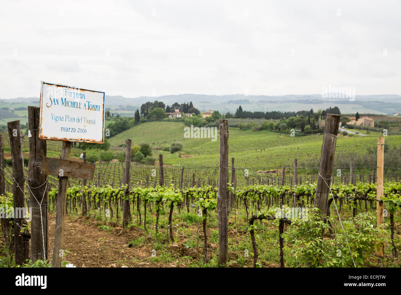 Grape orchard hires stock photography and images Alamy