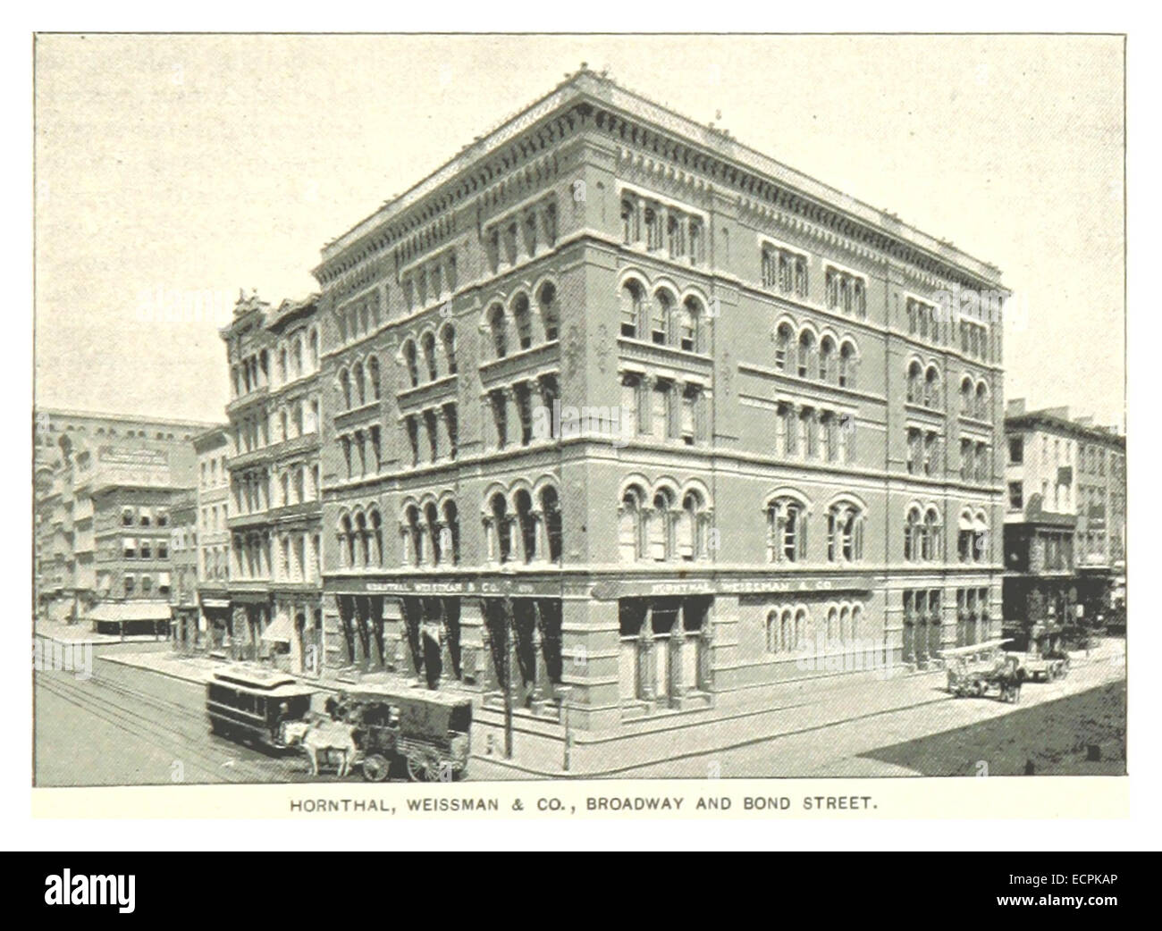 Weissman Cut Out Stock Images & Pictures Alamy