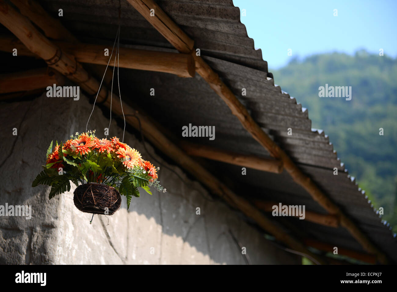 fake flower orange color in hanging basket for decorative home Stock Photo