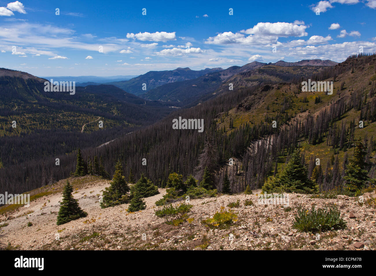 View from the SAN JUAN RIVER VALLEY from the CONTINENTAL DIVIDE near