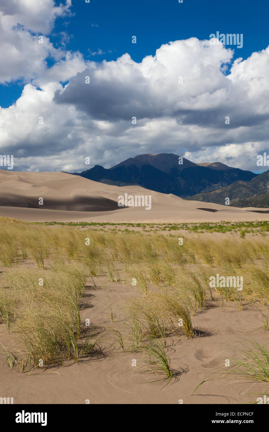 GREAT SAND DUNES NATIONAL PARK contains the largest sand dunes in North America - COLORADO Stock