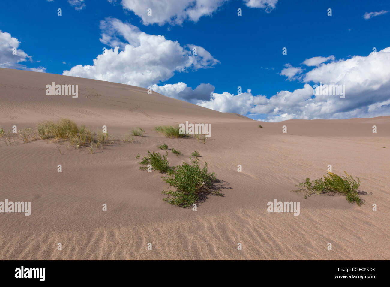 GREAT SAND DUNES NATIONAL PARK contains the largest sand dunes in North America COLORADO Stock