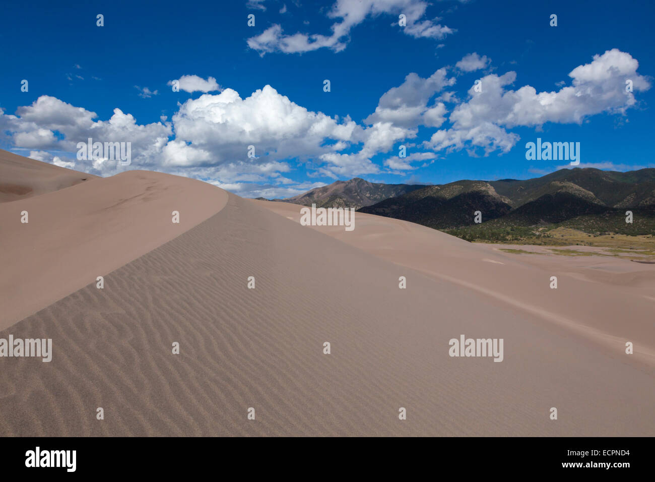 GREAT SAND DUNES NATIONAL PARK contains the largest sand dunes in North