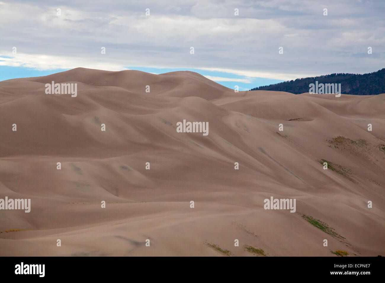 GREAT SAND DUNES NATIONAL PARK contains the largest sand dunes in North America - COLORADO Stock