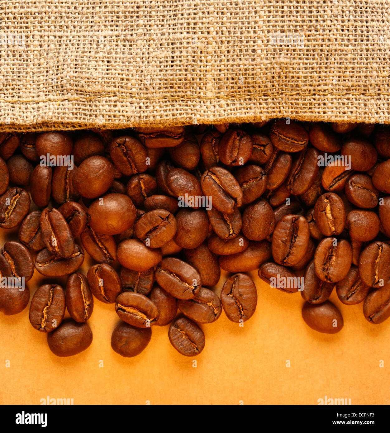 Brown coffee beans with sack in closeup Stock Photo