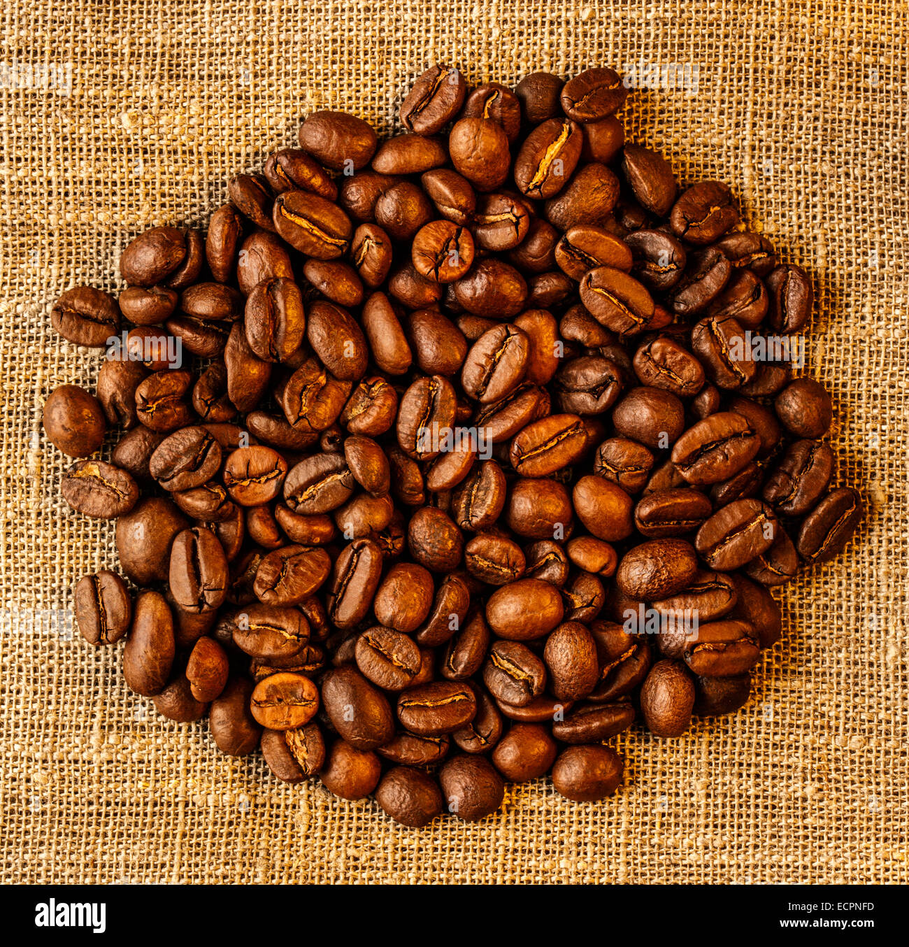 Brown coffee beans on sack in closeup Stock Photo