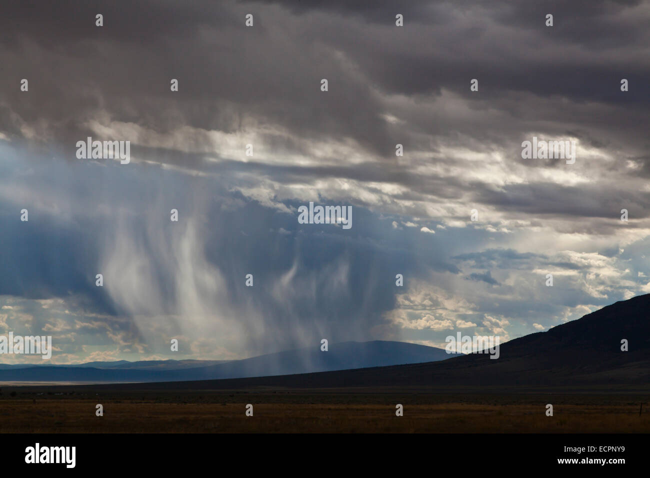 RAIN STORM in the high desert - SOUTHERN, NEW MEXICO Stock Photo