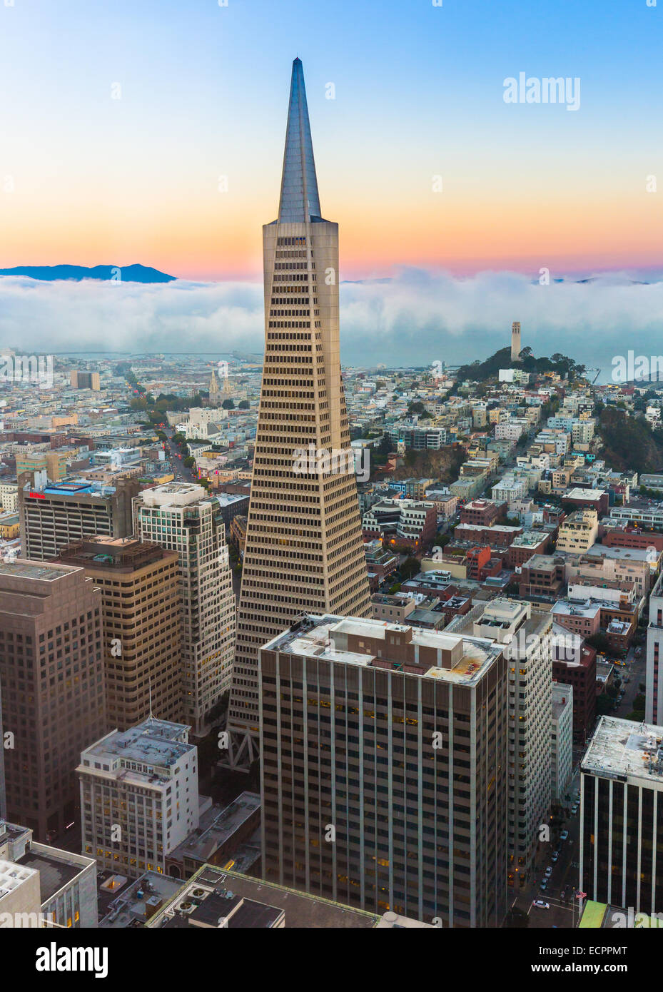 San Francisco is the cultural center and a leading financial hub of the San Francisco Bay Area and Northern California Stock Photo