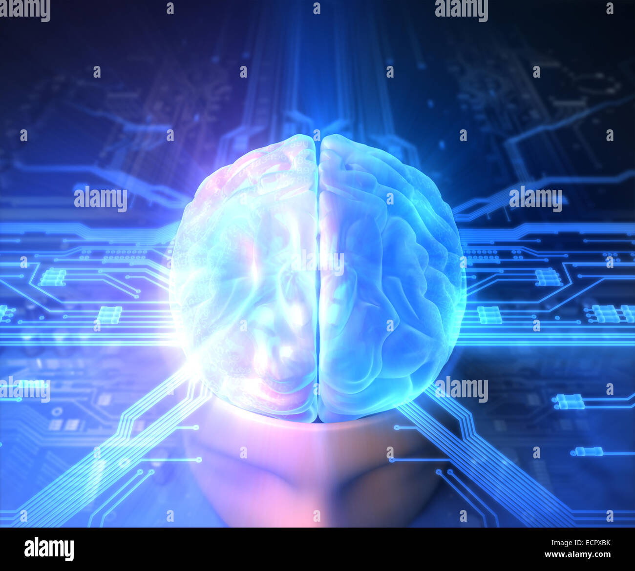 Human brain and circuit board hires stock photography and images Alamy