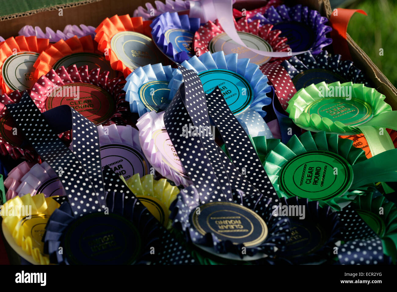 Rosettes ready to be presented at a pony/horse event in the UK Stock Photo