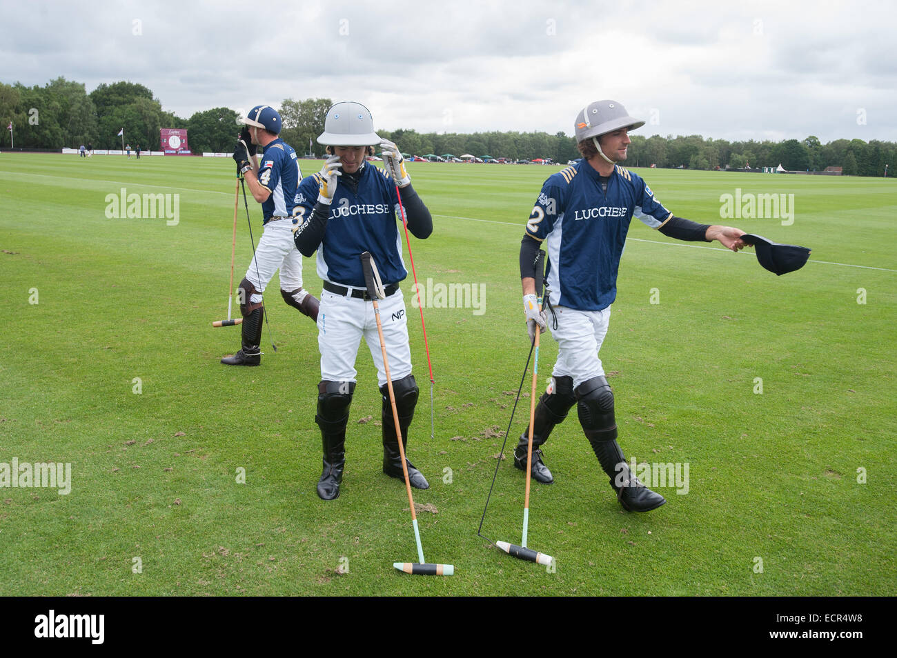 Cartier Polo Cup held at Guards Polo Club.  Featuring: Atmosphere Where: London, United Kingdom When: 15 Jun 2014 Stock Photo