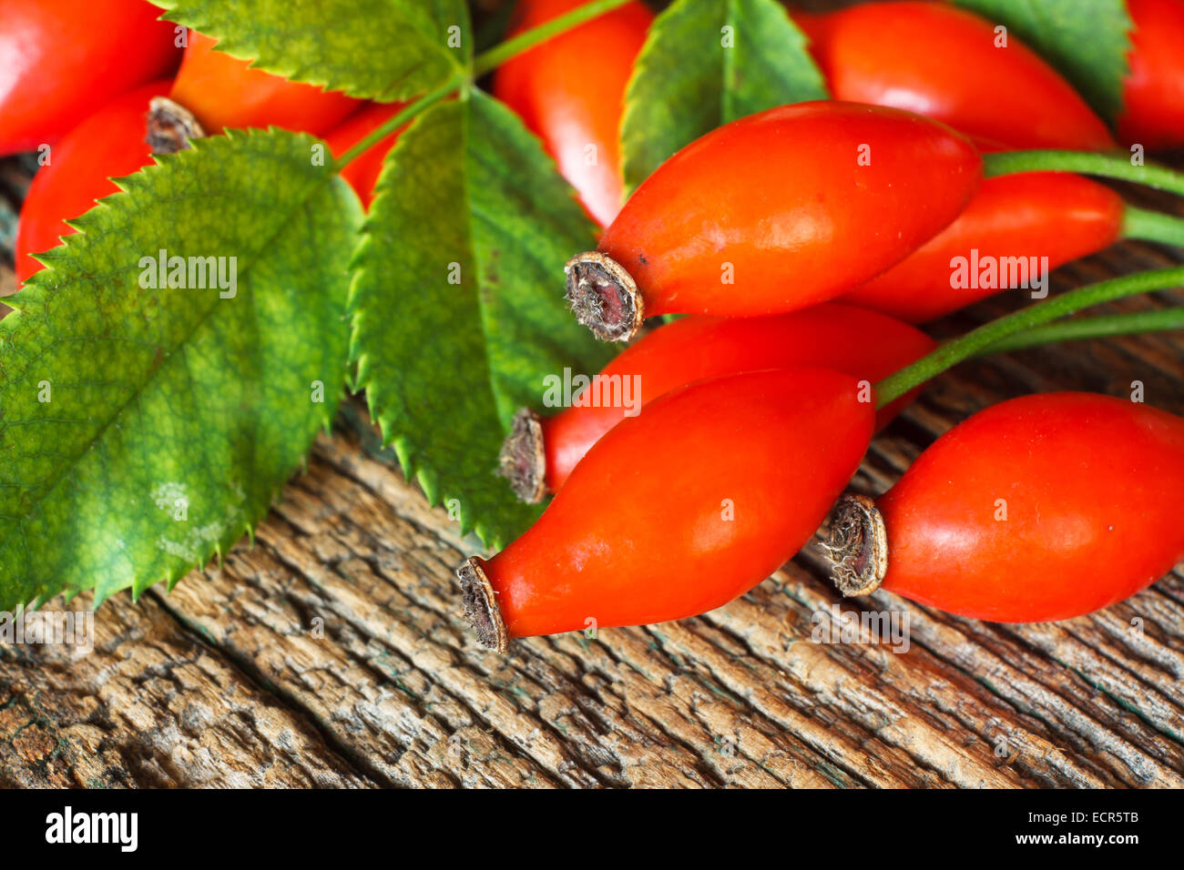 Rose hip preserve hi-res stock photography and images - Alamy
