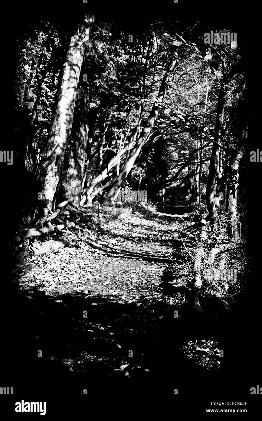 Spooky lane Black and White Stock Photos & Images - Alamy