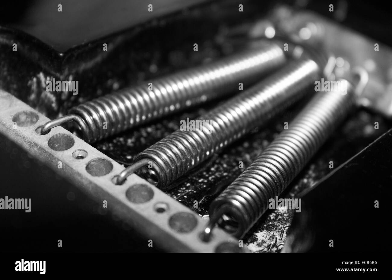 Inside the back of a dusty Fender Stratocaster guitar showing the springs/ coils. Stock Photo